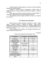 Term Papers 'AS "Ventspils tirdzniecības osta" darbības pilnveidošana', 68.