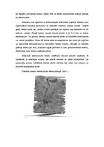 Research Papers 'Betona deformatīvās īpašības', 4.