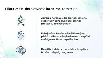 Presentations 'Veselīgu rutīnu ietekme uz fokusu un kognitīvo produktivitāti', 7.