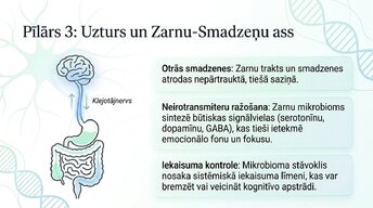 Presentations 'Veselīgu rutīnu ietekme uz fokusu un kognitīvo produktivitāti', 10.