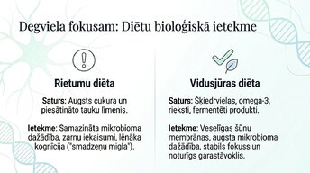 Presentations 'Veselīgu rutīnu ietekme uz fokusu un kognitīvo produktivitāti', 11.