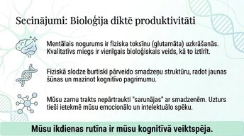 Presentations 'Veselīgu rutīnu ietekme uz fokusu un kognitīvo produktivitāti', 13.