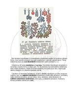 E-book 'Cilvēka anatomija: audi un šūnas', 9.