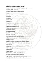E-book 'Cilvēka anatomija: audi un šūnas', 12.