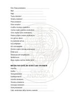 E-book 'Cilvēka anatomija: audi un šūnas', 16.