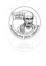 E-book 'Cilvēka anatomija: audi un šūnas', 17.