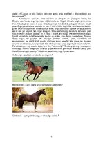 Research Papers 'Jāšanas sporta attīstība līdz karjerai', 5.