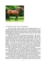 Research Papers 'Jāšanas sporta attīstība līdz karjerai', 7.