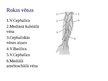 Presentations 'Intravenozās terapijas nodrošināšana', 34.