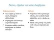 Presentations 'Intravenozās terapijas nodrošināšana', 88.