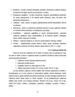 Research Papers 'Uzņēmējdarbību veicinošie un bremzējošie apstākļi Katvaru pagastā', 13.