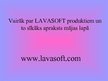 Presentations 'Lavasoft', 13.