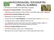 Presentations 'Mikroorganismi graudos', 7.