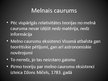 Presentations 'Melnais caurums', 4.