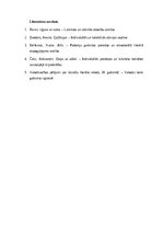 Essays 'Laika spogulis: cilvēka un sabiedrības saskarsme ar savu gadsimtu literatūrā un ', 3.