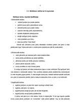Research Papers 'Reklāma', 6.