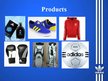 Presentations 'Business Activities of Adidas', 9.