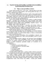 Term Papers 'Viļānu novada pašvaldības izdevumu uzskaite, kontrole un analīze', 9.