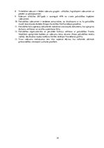 Term Papers 'Viļānu novada pašvaldības izdevumu uzskaite, kontrole un analīze', 29.