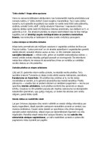 Summaries, Notes 'Eirāzijas stepju klejotāji: vēsture, kultūra, mitoloģija, sabiedrība un kultūras', 31.