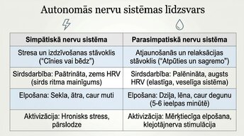 Presentations 'Kā meditācija un relaksācijas tehnikas uzlabo smadzeņu darbību', 8.