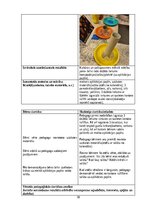 Practice Reports 'Pirmsskolas izglītības agrīnās prakses atskaite', 18.