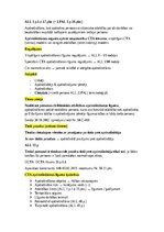Summaries, Notes 'Apdrošināšanas tiesības', 22.