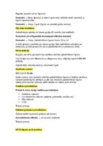 Summaries, Notes 'Apdrošināšanas tiesības', 25.