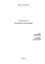 Research Papers 'Komandas sporta veidu psiholoģija', 1.
