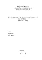 Term Papers 'Māsas motivācija darbam invazīvās kardioloģijas labortorijā', 1.