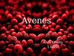 Presentations 'Avenes', 1.