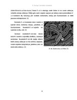 Research Papers 'Mikrobioloģiskais piesārņojums', 35.