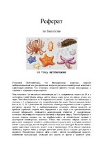 Research Papers 'Иглокожие ', 1.