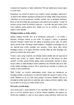 Summaries, Notes 'Džeina Šteinberga “Lasītāja”', 6.