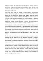 Essays 'Paražu tiesības un pirmās rakstītās tiesības Seno Austrumu zemē', 3.