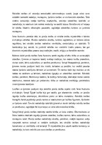 Essays 'Paražu tiesības un pirmās rakstītās tiesības Seno Austrumu zemē', 4.