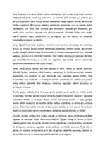 Essays 'Paražu tiesības un pirmās rakstītās tiesības Seno Austrumu zemē', 6.