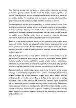 Essays 'Paražu tiesības un pirmās rakstītās tiesības Seno Austrumu zemē', 7.