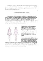 Research Papers 'Kursa darbs par limfātisko masāžu', 15.