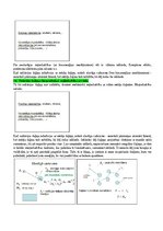 Summaries, Notes 'Eksāmena atbildes Radiācijas terapijas tehnoloģijas', 11.