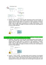 Summaries, Notes 'Eksāmena atbildes Radiācijas terapijas tehnoloģijas', 18.