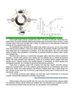 Summaries, Notes 'Eksāmena atbildes Radiācijas terapijas tehnoloģijas', 46.