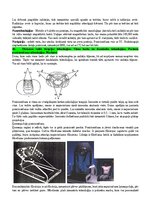 Summaries, Notes 'Eksāmena atbildes Radiācijas terapijas tehnoloģijas', 51.