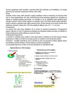 Summaries, Notes 'Eksāmena atbildes Radiācijas terapijas tehnoloģijas', 56.