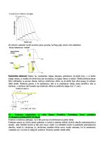 Summaries, Notes 'Radiācijas terapijas tehnoloģijas', 22.
