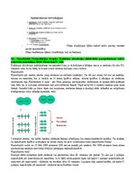 Summaries, Notes 'Radiācijas terapijas tehnoloģijas', 48.