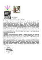 Summaries, Notes 'Radiācijas terapijas tehnoloģijas', 55.