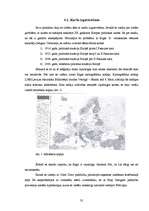 Research Papers 'Tehnisko mācību līdzekļu izmantošana vēstures stundās - elektroniskās kartes', 35.