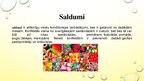 Presentations 'Saldumi un tauki', 2.