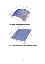 Term Papers 'Mezglu metode 2D Šredingera tipa vienādojuma skaitliskajiem aprēķiniem', 55.